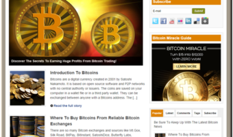 Bitcoin Niche PLR Blog
