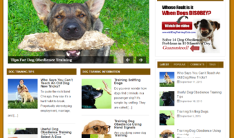 Dog Training PLR Blog