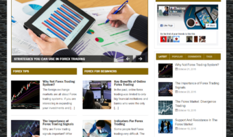 Forex PLR Blog