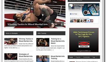 Mixed Martial Arts PLR Blog