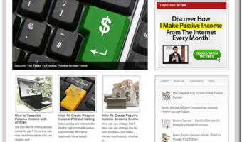 Passive Income PLR Site