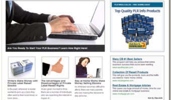 PLR Business Turnkey Site