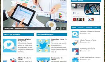 Twitter Niche PLR Blog