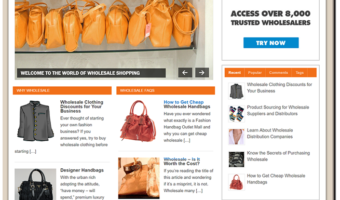 Wholesale Designer Discounts PLR Blog