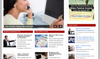 Internet Business PLR Blog